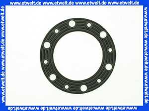 286089 Stiebel Eltron Flanschdichtung 75