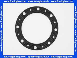 286090 Stiebel Eltron Flanschdichtung 110 Speicherdichtung