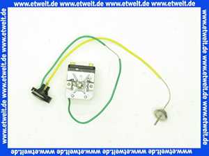 289526 Stiebel Eltron Begrenzer-Bgr. Ers. STE