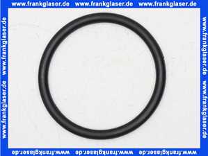 11120633 Sulzer EPDM O-Ring