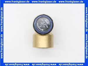 211515000 SYR Membran-Sicherheitsventil 2115 DN 15 6bar rohgelb