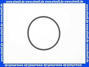 238000963 Syr Ditech O-Ring für Filtertasse