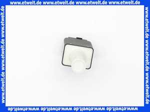 Flammenfuehler IRD 1010 links (16503) Satronic