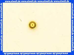 0010048106 Vaillant Brennerdüse 80