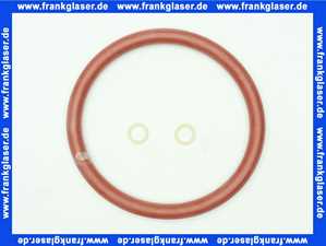 Vaillant Dichtungssatz, Brennerwartung 0020020845