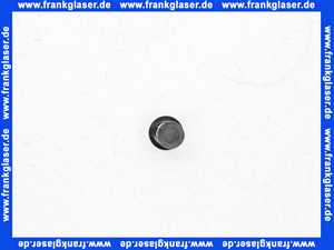 Vaillant Wassersieb 0020028121