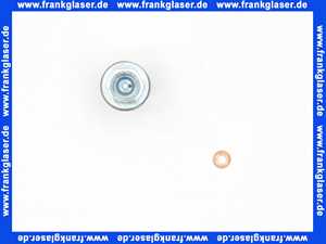 Vaillant Sensor, Hochdruck 0020031981