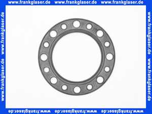Vaillant Flanschdichtung 0020053310