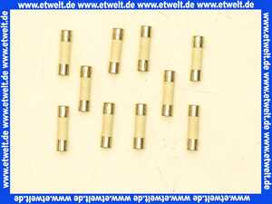 Vaillant Sicherung, 2,0 A T2H, (x10) 0020067507