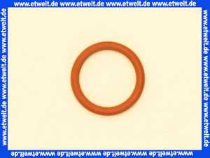 0020072913 Vaillant O-Ring zu VC 110 E, VC 110 XE, VC 112 E u.w.