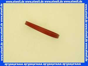 Vaillant O-Ring, EPDM (DN 100) 0020083079