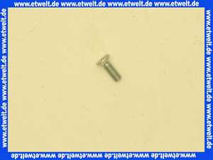 0020107716 Vaillant Schraube 1 Stück zu M4 x 12 mit Zapfen