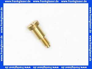 Vaillant Schraube 0020107733