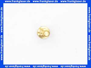 Vaillant Schraube 0020107733