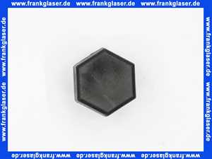 Vaillant Fuß 0020198221