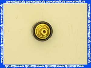 Vaillant Druckwächter, Wassermangels. 050591