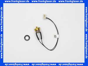 Vaillant Temperaturbegrenzer 101174