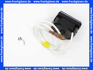 Vaillant Thermometer 101542