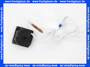 Vaillant Thermometer 101554