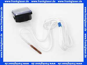 Vaillant Thermometer 101554