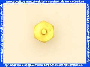 Vaillant Temperaturwächter 101762