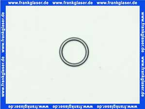 Vaillant 103415 Dichtung ecoEURO... (WT VR/VL) 1 Stück