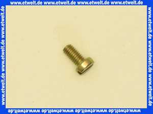 Vaillant Zylinderschraube, ISO 1207 105744