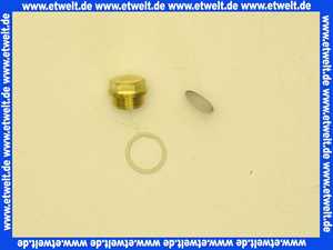 Vaillant Wassersieb 115318