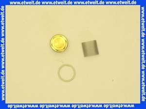 Vaillant Wassersieb 115318