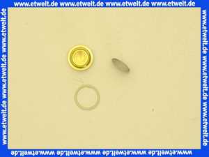 Vaillant Wassersieb 115318