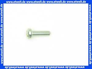 Vaillant Linsenschraube 118960