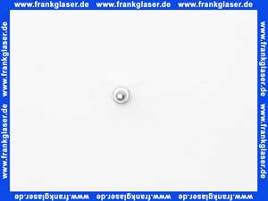 Vaillant Schneidschraube 119110