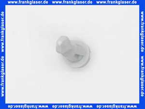 Vaillant 132925 Bolzen Euro Pro/Plus (Verschlussbolzen), APC 1 Stück