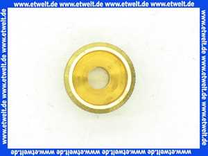 Vaillant 133933 Formschraube VCW 204,254 XE Befestigung BWT