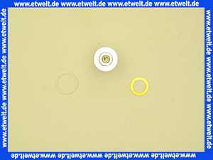 Vaillant Magnet 170383