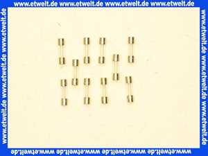 Vaillant Sicherung, 1,25A T, (x10) 251961