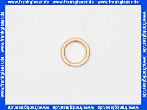 Vaillant Dichtung 980486