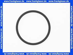 Vaillant O-Ring 982306