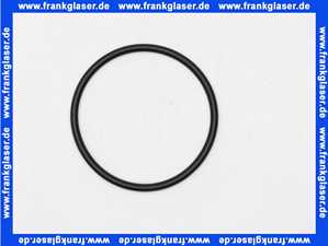 UCFIX0369 Villeroy & Boch Ersatzteil fuer Combipool