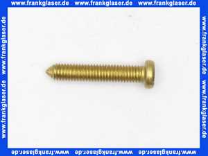 140373 Viega Schraube 6151-593 in M5 x 25mm Messing