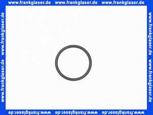 315382 Viega O-Ring 19x1.6 Gummi schwarz