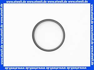 667412 Viega Dichtung