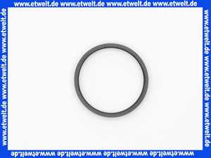 667412 Viega Dichtung
