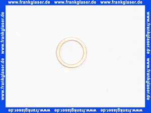 7218748 Viessmann Dichtringe Cu R 1/4 Zoll 1 Stück