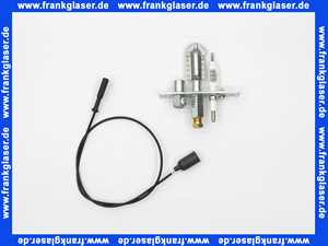 7253319 Viessmann Zündbrenner Atola AHN Gasola Erdgas