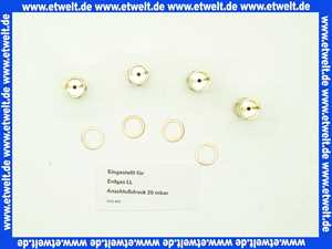 7380323 Viessmann Umstellteile LV023 EG-LL