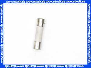 7404364 Viessmann Sicherung T 4,0A 250V (1 Stück)