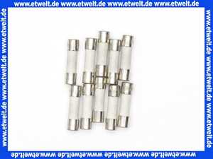 7404364 Viessmann Sicherung T 4,0A 250V (10 Stück)