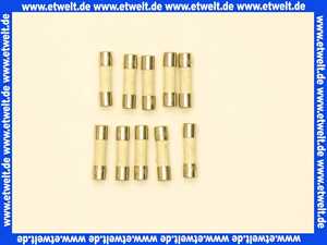 7408476 Viessmann Sicherung T 0,8A 250V 10 Stück