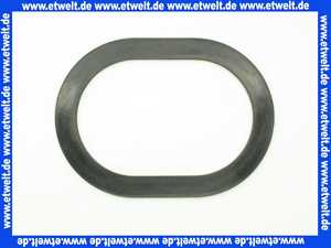 7810040 Viessmann Speicherdichtung oval